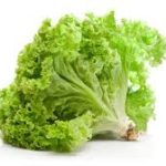 whatsapp marketing secret guide download (42)